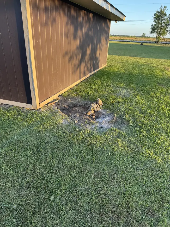 Bare ground beside a garden shed where brush had been cleared