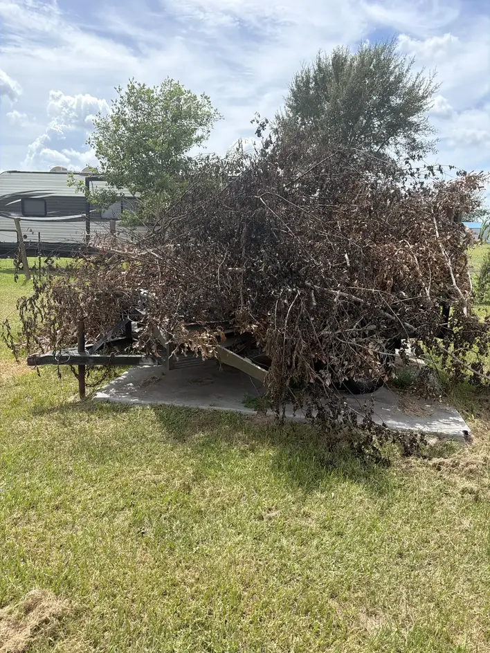 Cut branches and brush loaded onto the trailer for disposal