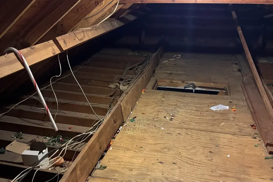 Home, Garage, and Attic Cleanout