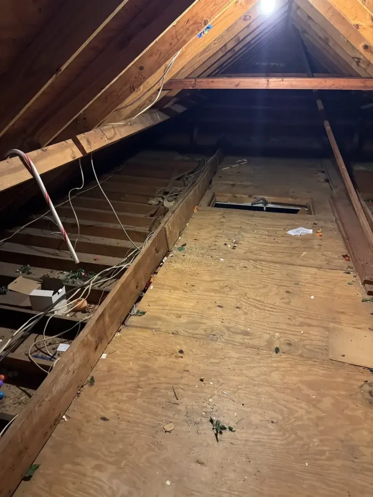 Attic cleared back to bare plywood decking and joists