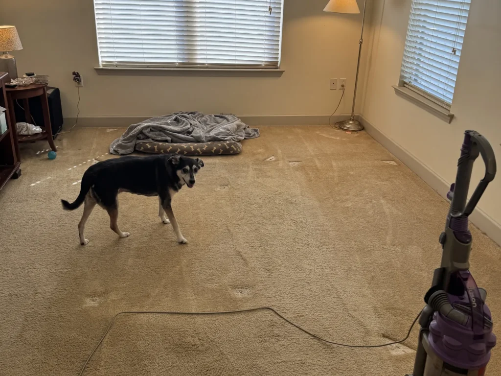 The same Lake Charles apartment living room cleared of furniture after the cleanout