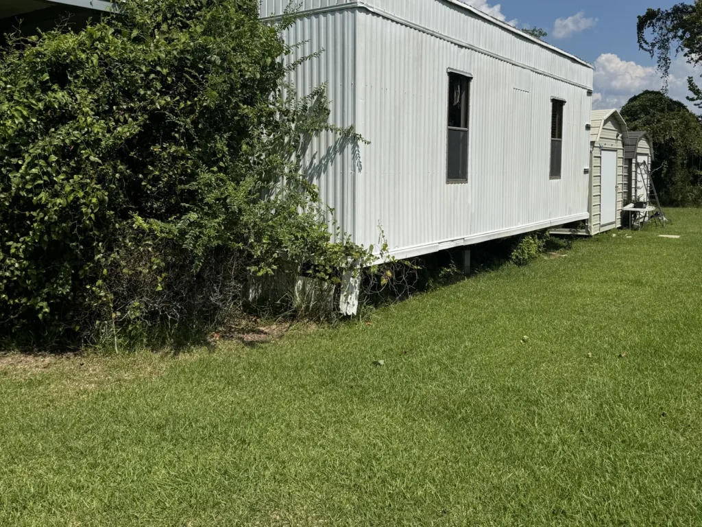 An overgrown portable office building in Westlake before demolition